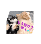 もみぴ01（個別スタンプ：3）