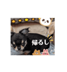 もみぴ01（個別スタンプ：4）