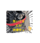 もみぴ01（個別スタンプ：7）