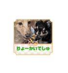 もみぴ01（個別スタンプ：8）