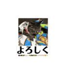 猫カフェ三兄弟 ❷（個別スタンプ：10）