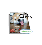 らきとみん（個別スタンプ：4）