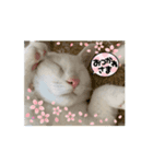 らきとみん（個別スタンプ：8）