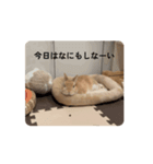 動くぞにスタンプ（個別スタンプ：6）