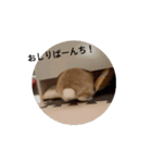 動くぞにスタンプ（個別スタンプ：8）