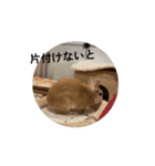 動くぞにスタンプ（個別スタンプ：10）
