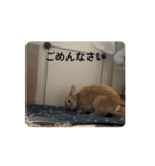 動くぞにスタンプ（個別スタンプ：13）