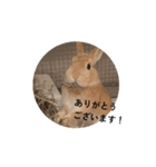 動くぞにスタンプ（個別スタンプ：15）