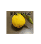 動く！もこふれスタンプ2（個別スタンプ：9）