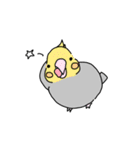 気軽に使える鳥たち（個別スタンプ：11）