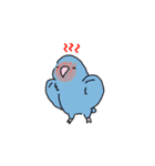 気軽に使える鳥たち（個別スタンプ：17）