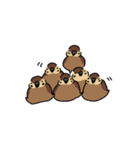 気軽に使える鳥たち（個別スタンプ：21）