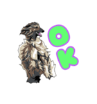 Afghan hound AL（個別スタンプ：9）