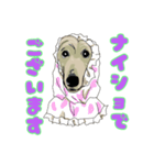 Afghan hound AL（個別スタンプ：13）