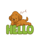 かわいい プードル犬 いぬ（個別スタンプ：2）