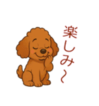 かわいい プードル犬 いぬ（個別スタンプ：12）