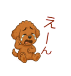 かわいい プードル犬 いぬ（個別スタンプ：13）
