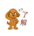 かわいい プードル犬 いぬ（個別スタンプ：15）