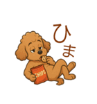かわいい プードル犬 いぬ（個別スタンプ：19）