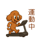 かわいい プードル犬 いぬ（個別スタンプ：21）