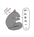 きゅるきゅるネズミ目日本外来生物（個別スタンプ：9）