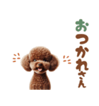 いつでも使えるトイプードルスタンプ（個別スタンプ：12）