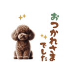 いつでも使えるトイプードルスタンプ（個別スタンプ：36）