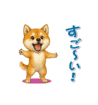 動く！丁寧な柴犬（個別スタンプ：12）