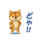 動く！丁寧な柴犬（個別スタンプ：17）