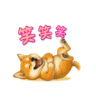 動く！丁寧な柴犬（個別スタンプ：20）
