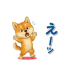 動く！丁寧な柴犬（個別スタンプ：21）
