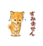 動く！丁寧な柴犬（個別スタンプ：22）