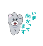 うごく のんびりねこ（個別スタンプ：1）