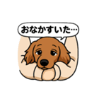 うちのわんこ カフェ（個別スタンプ：4）