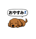 うちのわんこ カフェ（個別スタンプ：5）
