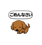 うちのわんこ カフェ（個別スタンプ：6）