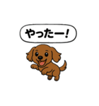 うちのわんこ カフェ（個別スタンプ：7）