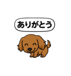 うちのわんこ カフェ（個別スタンプ：8）