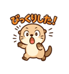 カワウソの毎日スタンプ40種セット（個別スタンプ：10）