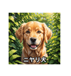 心温まる犬たちのスタンプ（個別スタンプ：1）