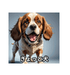 心温まる犬たちのスタンプ（個別スタンプ：21）