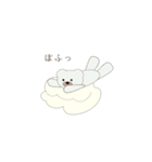 くまとしろくまの日常スタンプ（個別スタンプ：6）