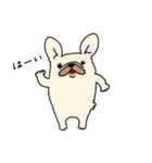 ずんどうフレンチブルドッグ（個別スタンプ：1）