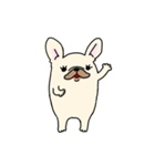 ずんどうフレンチブルドッグ（個別スタンプ：2）