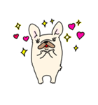 ずんどうフレンチブルドッグ（個別スタンプ：7）