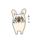 ずんどうフレンチブルドッグ（個別スタンプ：17）