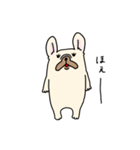 ずんどうフレンチブルドッグ（個別スタンプ：20）
