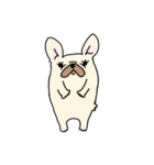 ずんどうフレンチブルドッグ（個別スタンプ：23）