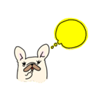 ずんどうフレンチブルドッグ（個別スタンプ：33）