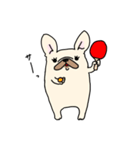 ずんどうフレンチブルドッグ（個別スタンプ：39）